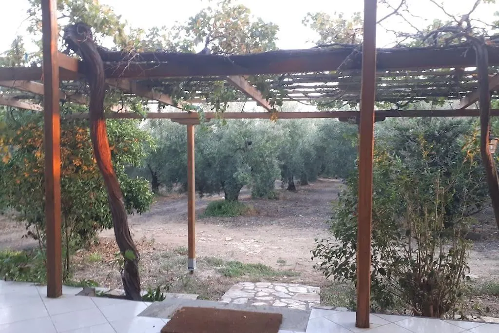 A Home Away From Home Psakoudia
